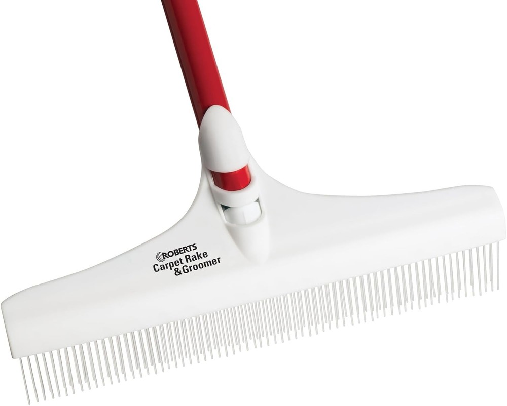 Lightweight Carpet Rake with 12" Head and Long 51" Handle - Compact Solution