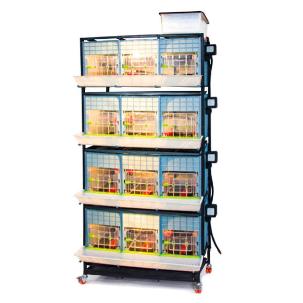 Chick Brooder - 4 Layer H: 15"