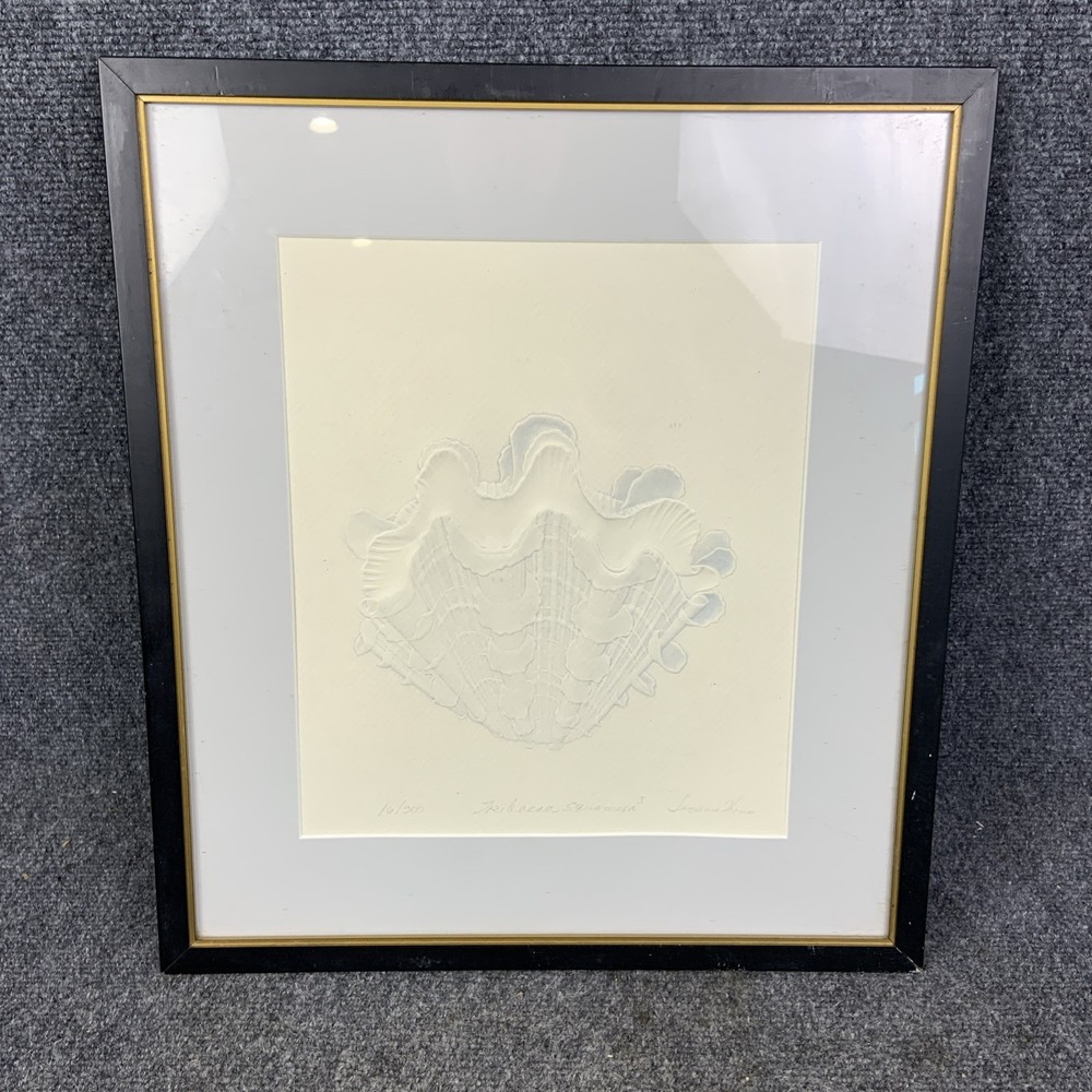 Suzanne Thomas Framed Tridaena Squamosa I Embossed Shell Signed Artist’s Proof