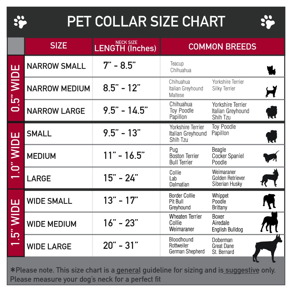 Plastic Clip Collar Icons & Patterns 2 Small 9.5-13"