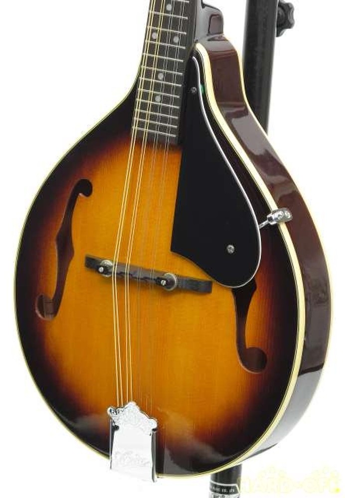 ARIA AM200E/BS Mandolin-01