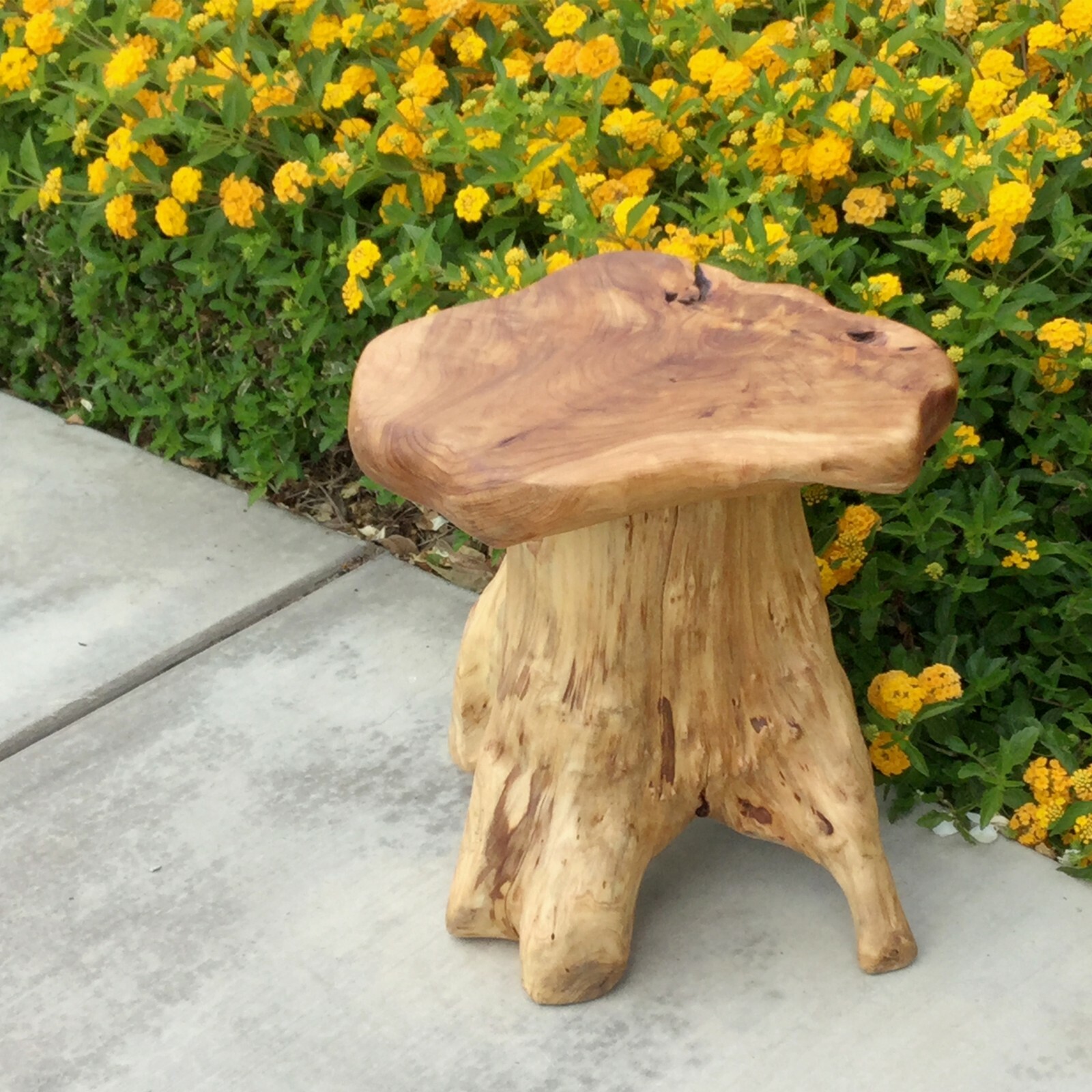 GREENAGE Natural Cedar Mushroom Stool Plant Stand Nightsstand Side Table 13.5" H