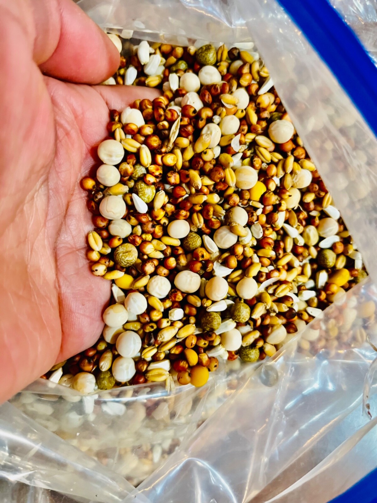 35 Pounds Pigeon Food PKF