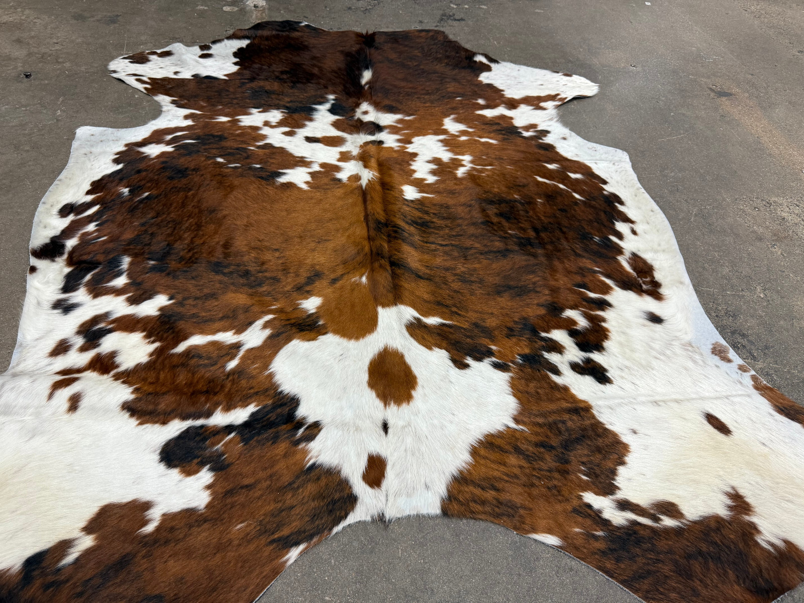 5 Exotic Tri Brindle Brazilian Cowhide Rug Cow Hide Size 7ft jumbo. 5 hide bundl