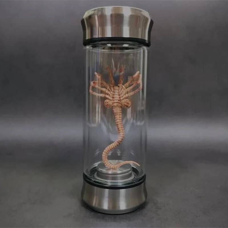 USA Alien Jar Xenomorph Specimen Facehugger Embryo Glass Jar Movie Prop Replica