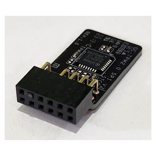 Gigabyte GC-TPM2.0 SPI V2 SPI 2.0 (12Pin) TPM (Trusted Platform Module)