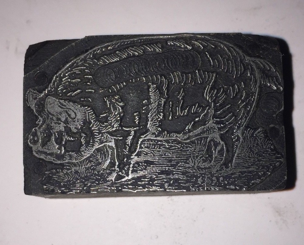 Boar Pig Printer's Letterpress Type Block~PB33
