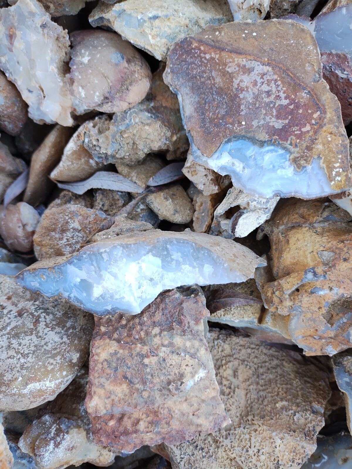 Agate Nodules Nicknamed Potato Agates 10 Pound Lot, Some w/crystals, some solid
