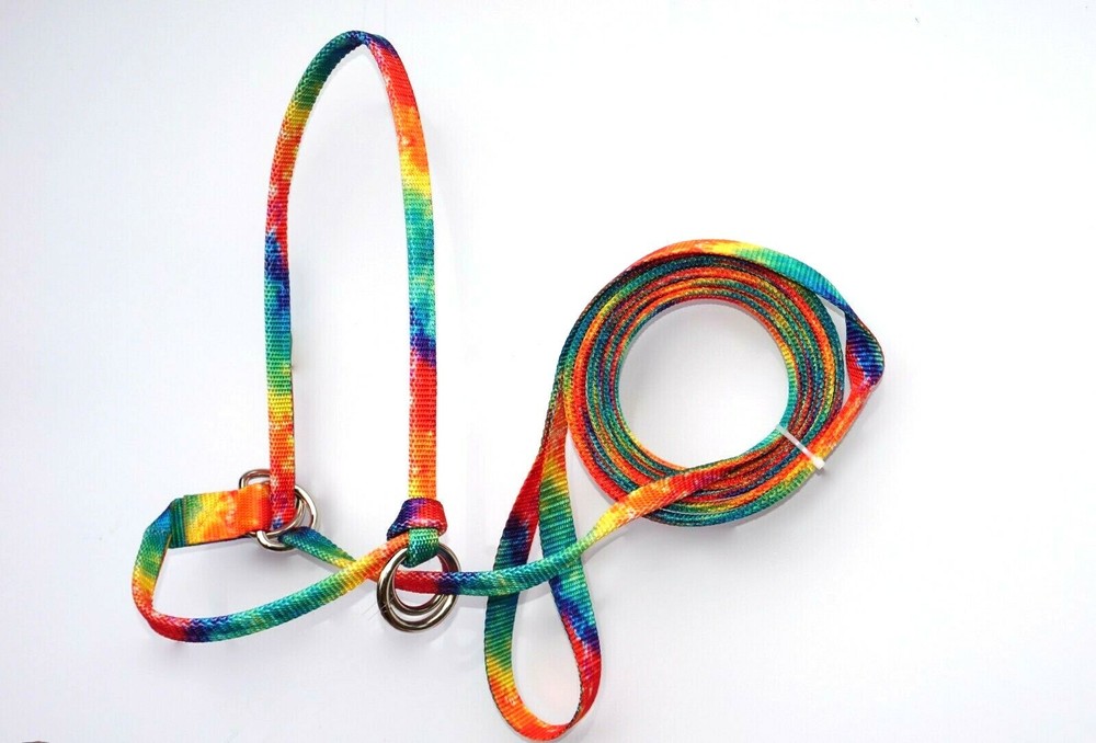 Halter All MEDIUM Dairy Beef Cow, Ave Steer Breaking Show Adjustable PATTERN USA