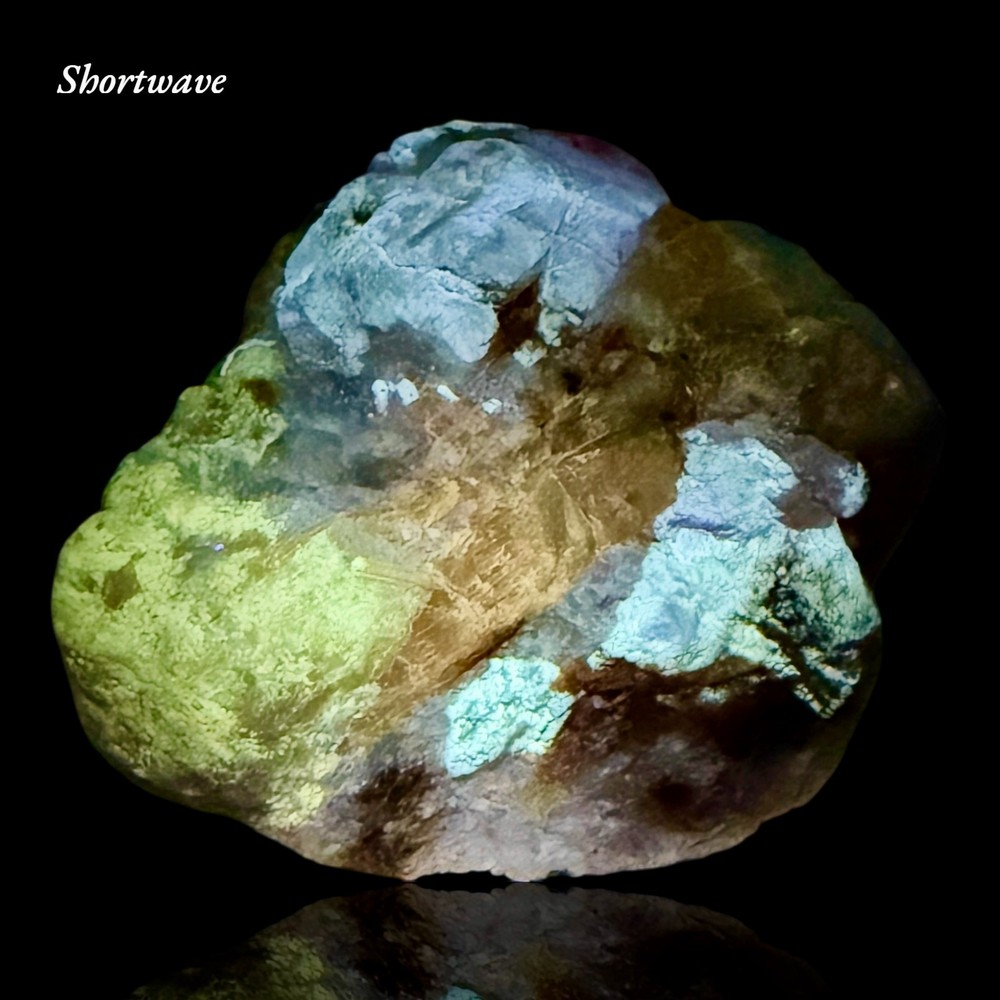 99 Gr. Fluorescent Sharp Tenebrescent Hackmanite Crystal with Winchite On Matrix
