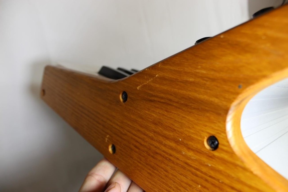 Moog Subsequent 37 (2-Note) Paraphonic Analog Synthesizer