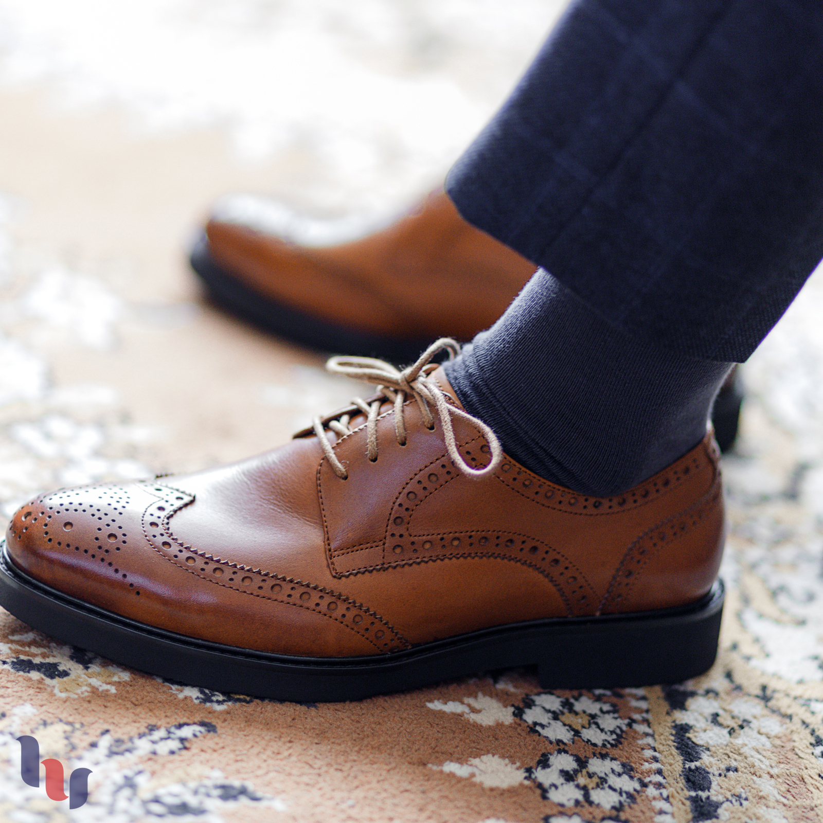 Hugh Ugoli Men Cotton Dress Socks XL / L / M / S Sizes, 3 Pairs