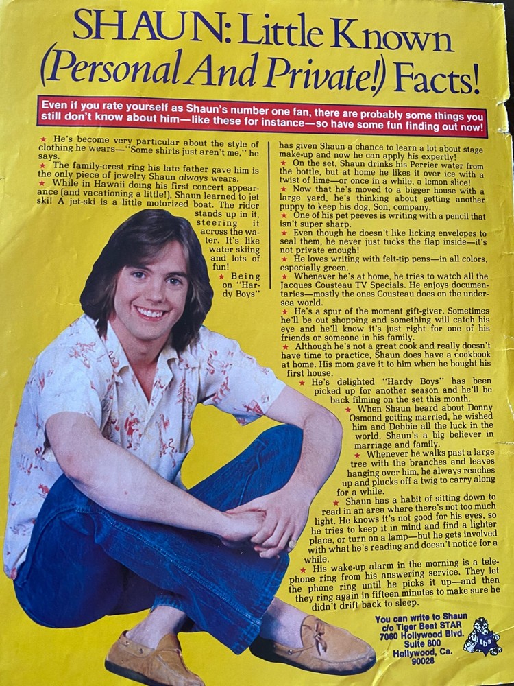 Shaun Cassidy, Full Page Vintage Clipping