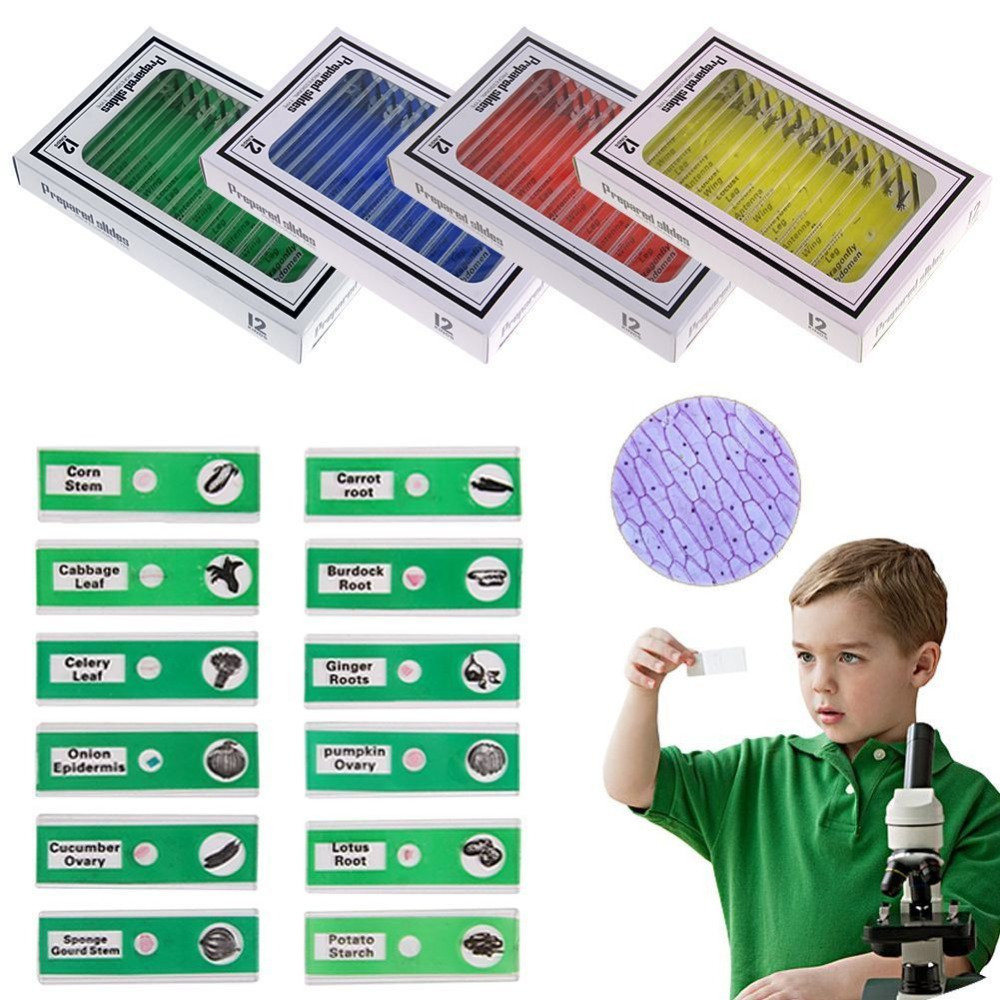Prepared Microscope Slides Set, 48Pcs Plastic Animals Insects Plants Specimens