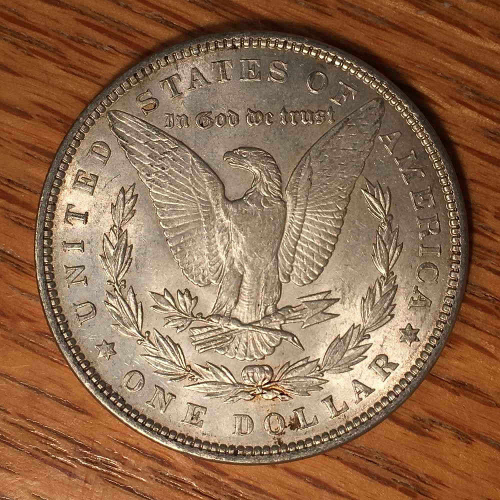 1889 Morgan Silver Dollar - High Quality Scans #i148