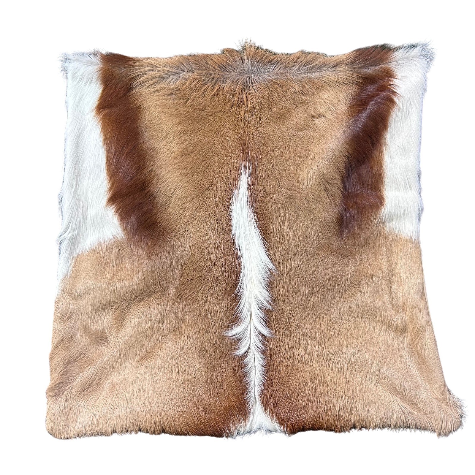 Springbok Skin Pillow Case 17x17" Springbok Skin Cushion Case Beige Backing