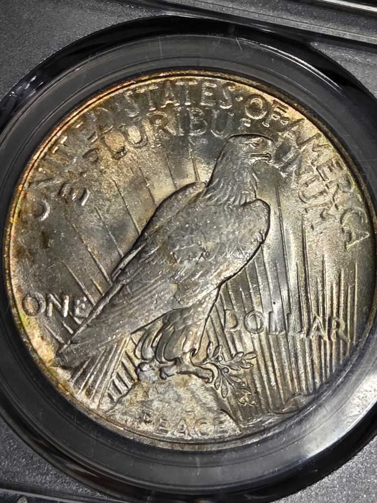 1923 $1 Peace Dollar PCGS MS63 Toned