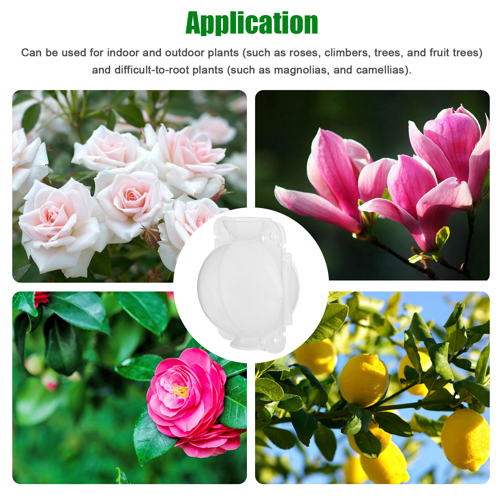 10Pcs 5CM Plant Root Growing Box Reusable Air Layering Pods for Fast Propagation