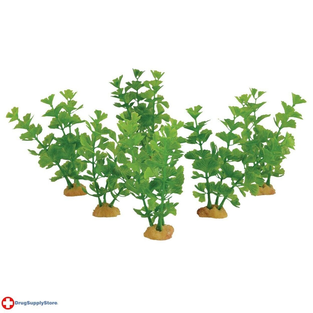 RA Willow Leaf - 3.5" - 6 pk