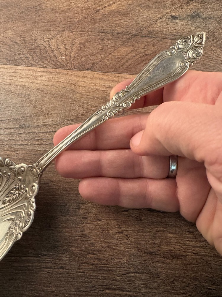 Wm Rogers Blenheim Pattern Bonbon Scoop Casserole Spoon Server