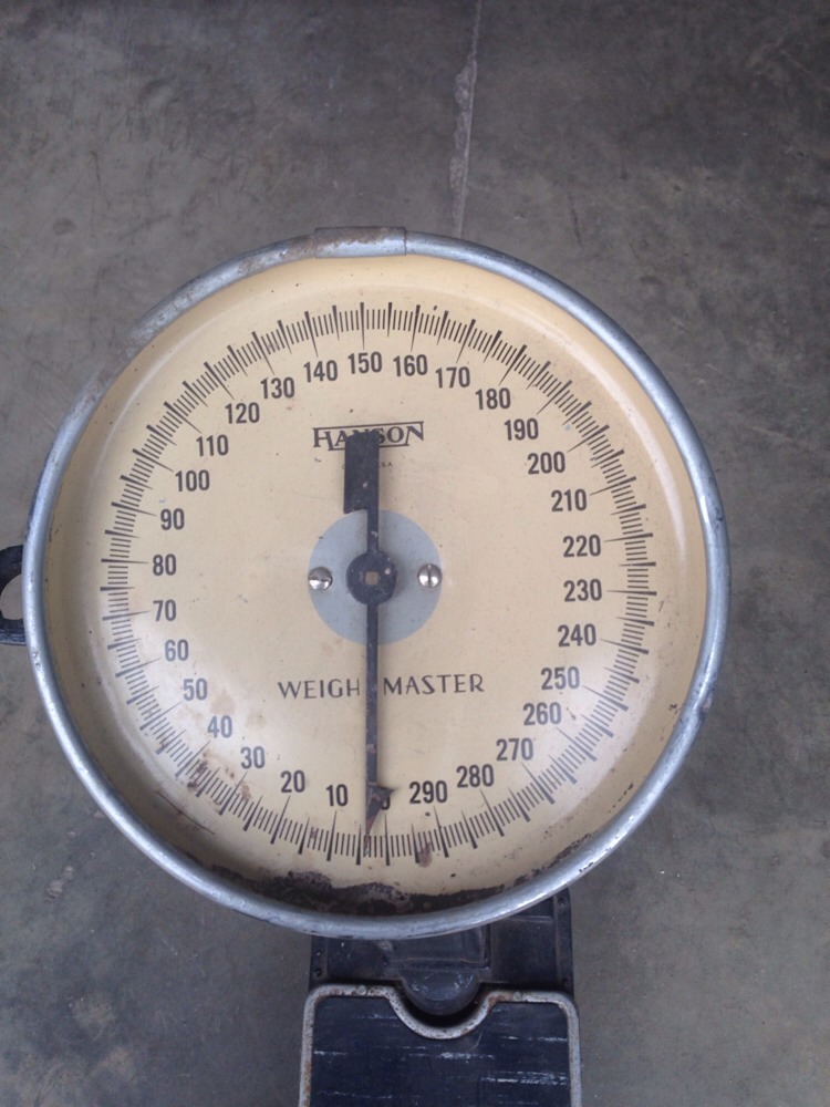 Antique Hanson Deco Style Doctors Scale