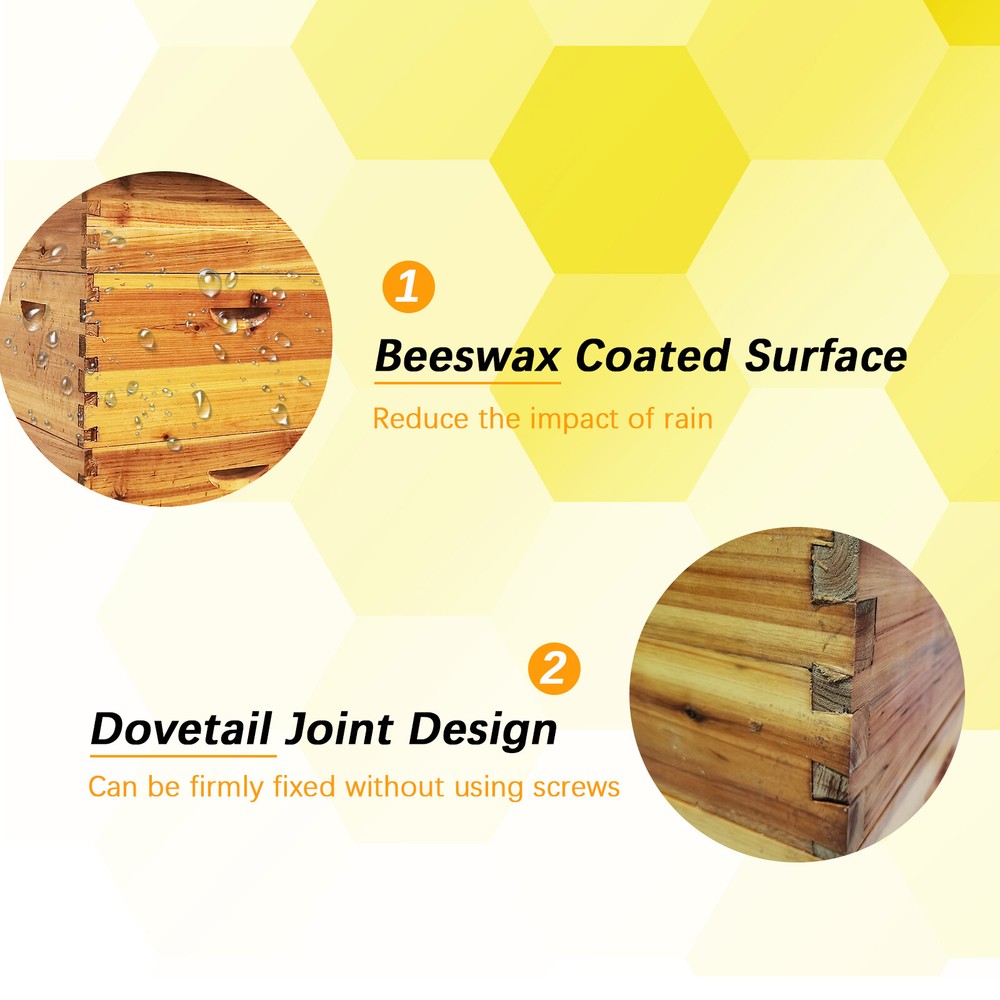 3-Layer Bee Hive Without Frames, Langstroth Beehive Kit 2 Deep 1 Medium