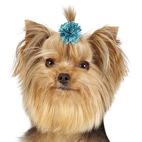 Dot Rose 48 Piece Bows for Dogs