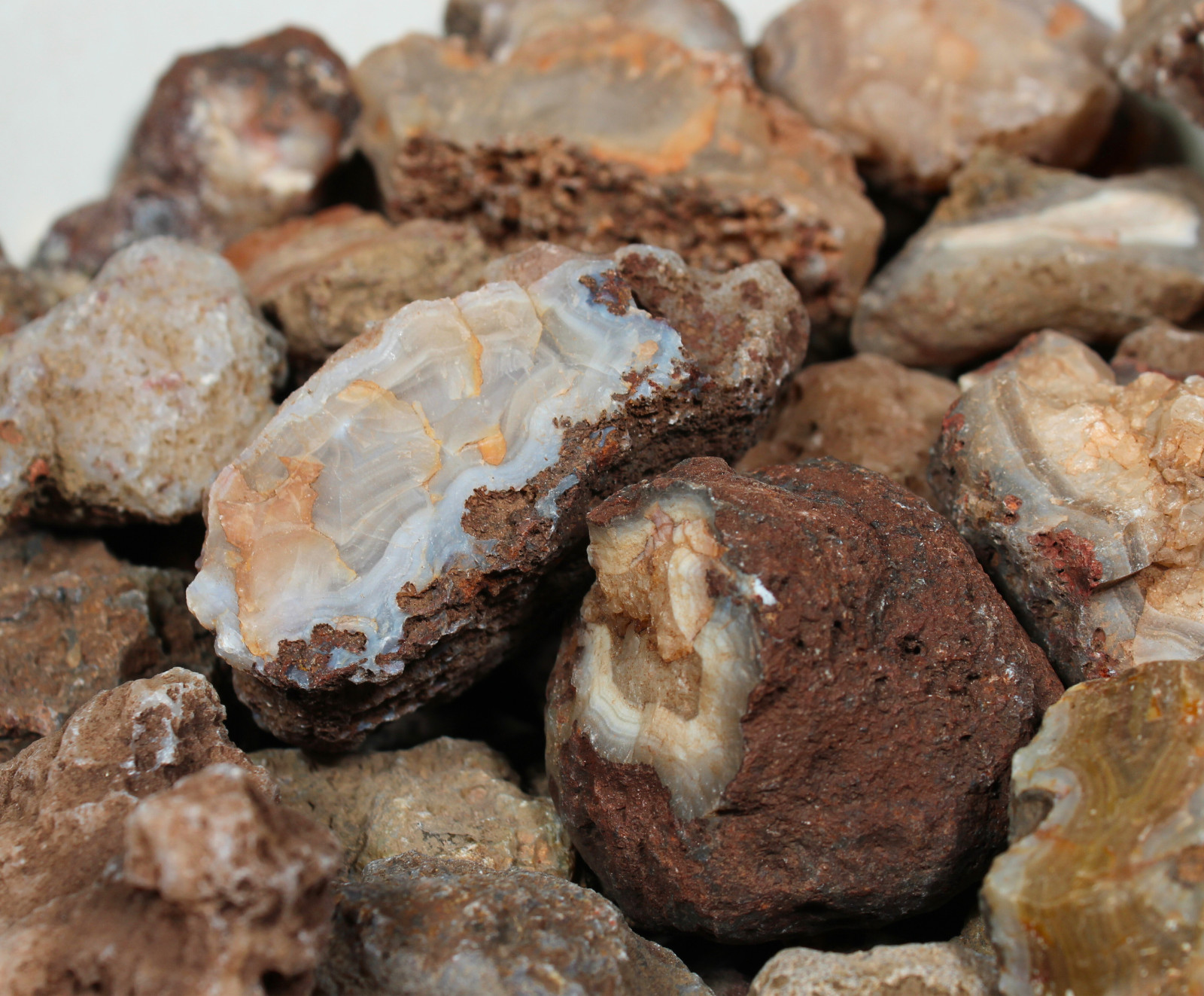 Calandria Agate Nodules - Rough Rocks for Lapidary/Cabochon - Bulk Wholesale