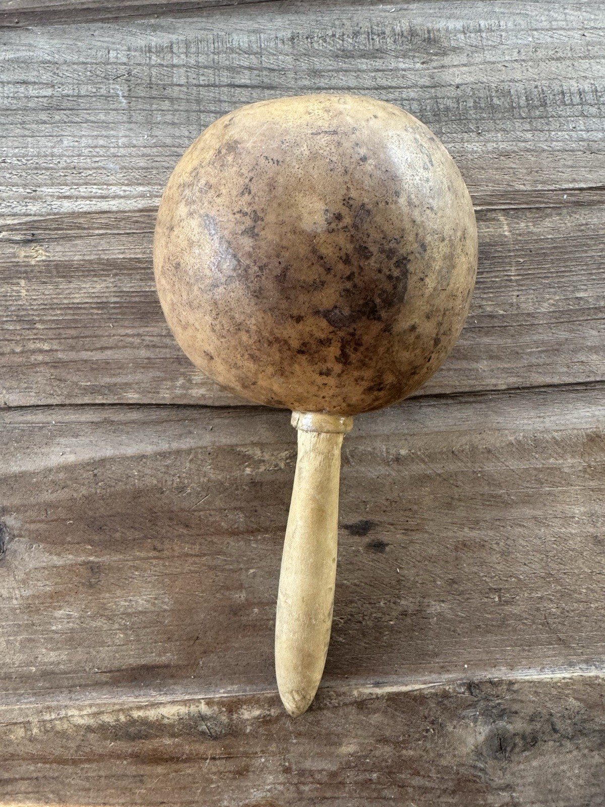 Vintage Decorated Gourd Rattle Turtle Design Folk Art Handcrafted