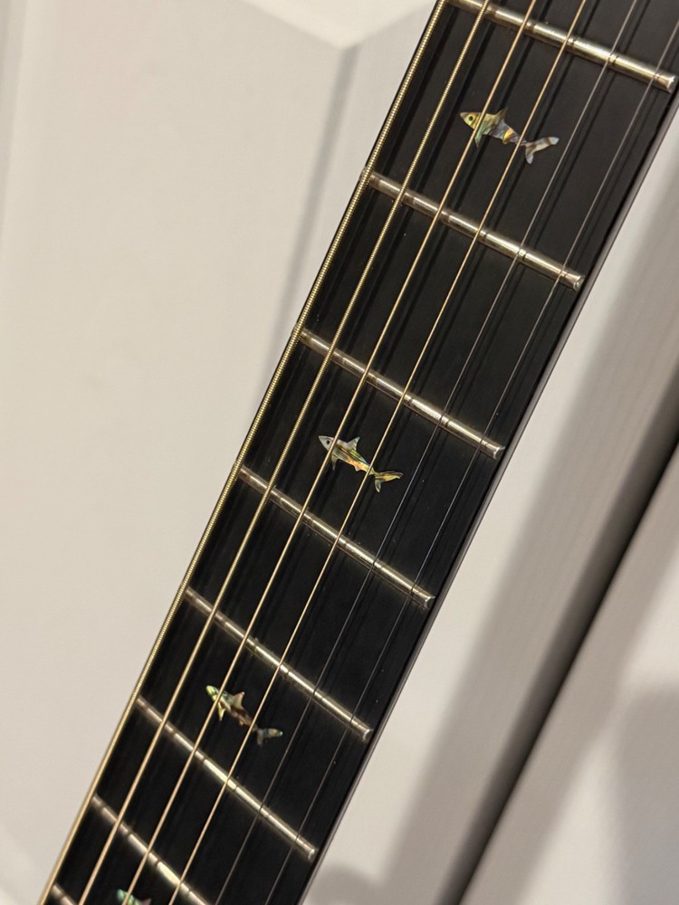 Rainsong OM1000N2