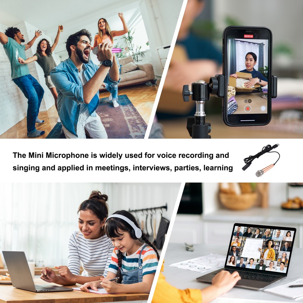 2Pcs Mini Microphone, Mic Tiny Microphone Type C Gold/Hot Pink