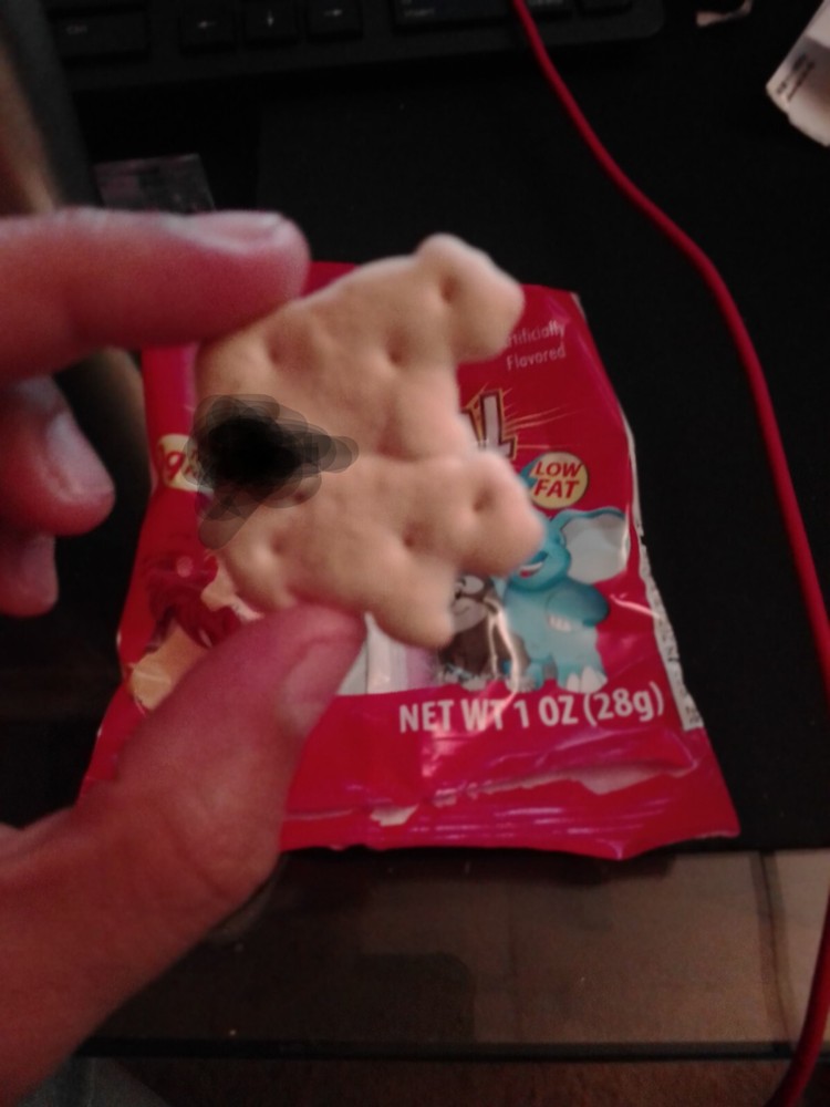 oddity animal crackers doing animal things