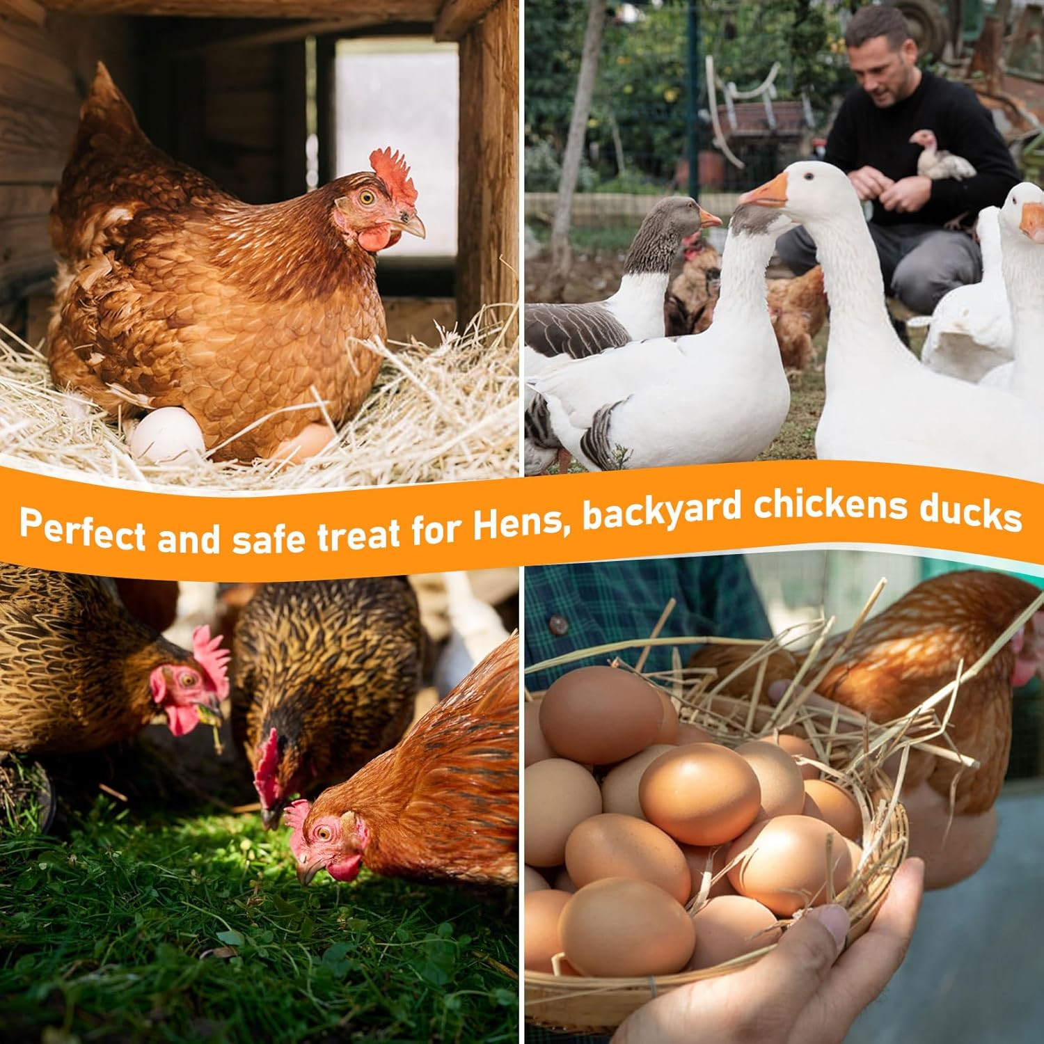 30Oz Chicken Nesting Herbs - Dried Herb for Layer Feed,Coop and Run Insulation,R