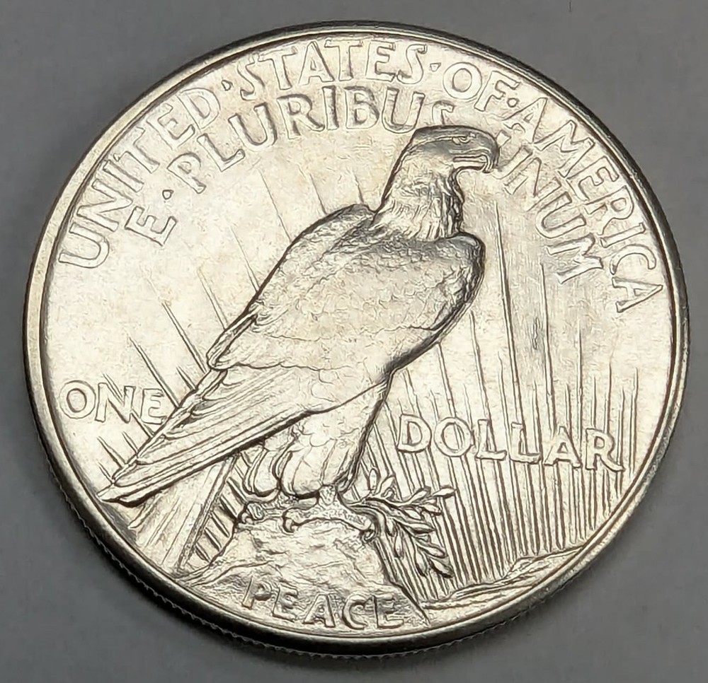 1921 Peace Silver Dollar US Coin - Cleaned