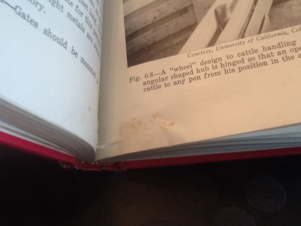 Approved Practices In Beef Cattle Production 3rd Edition 1964