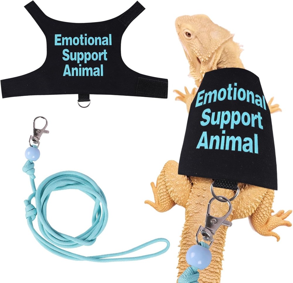 Bearded Dragon Harness and Leash Set Adjustable Reptile Lizard Medium, Blue