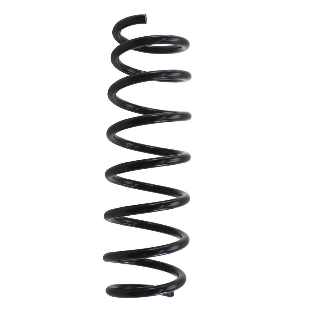 Lesjofors Coil Spring Rear (with Mtech) 4208472