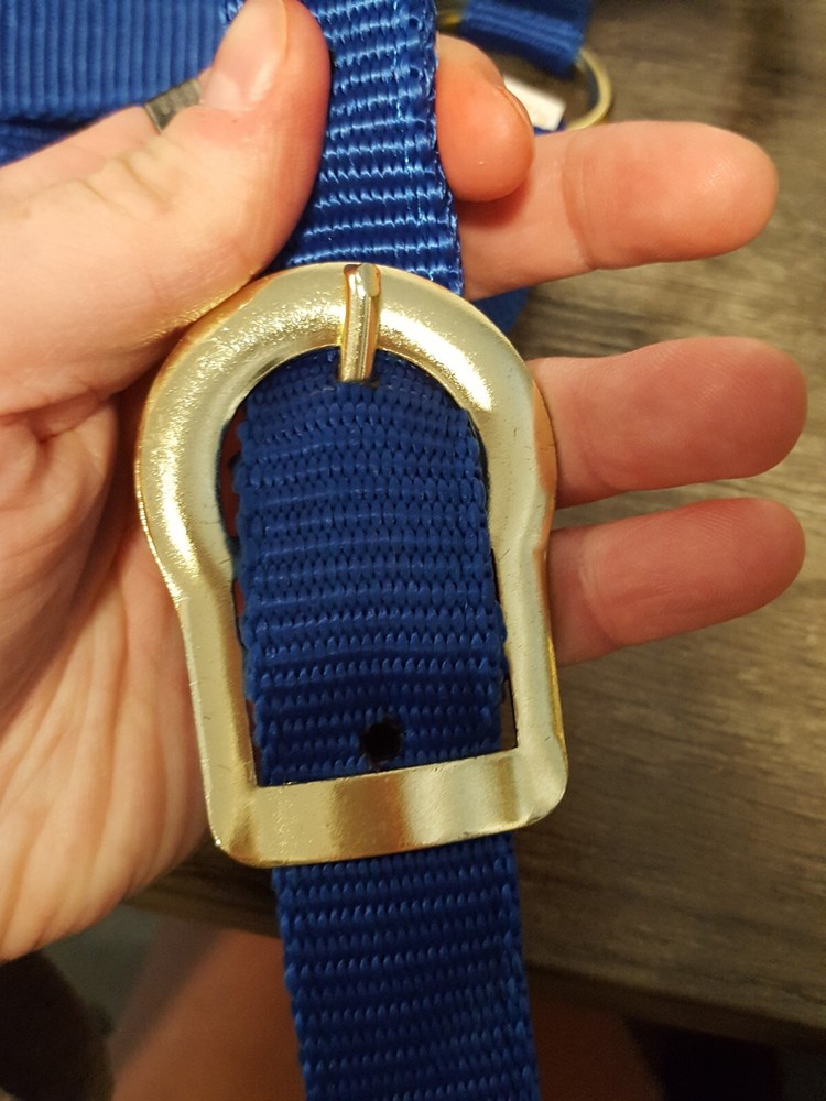 Animal Legends Poly Halter - 800-1100LBS