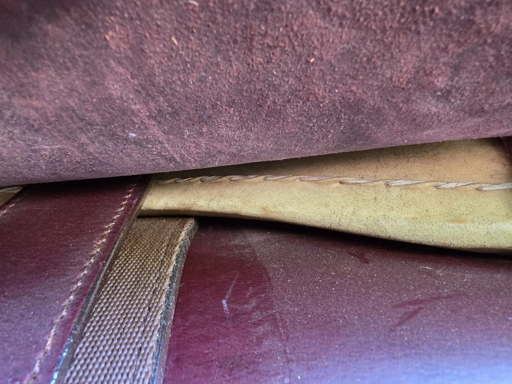 16 Inch Hornless Saddle