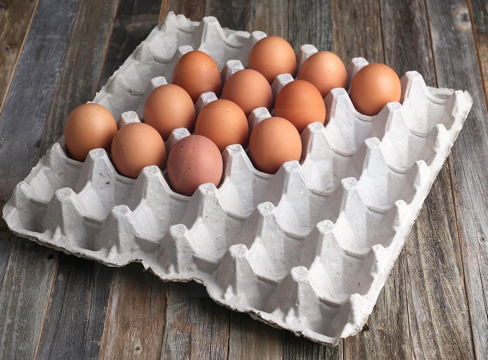 30 Egg Flat Tray Pulp Fiber Reusable Stackable Extra Large Egg Crate Made in USA