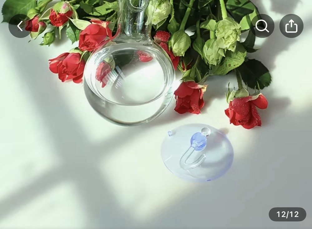 2 Pack Window Propagation Stations Plastic Wall Hanging Planter with Suction ...