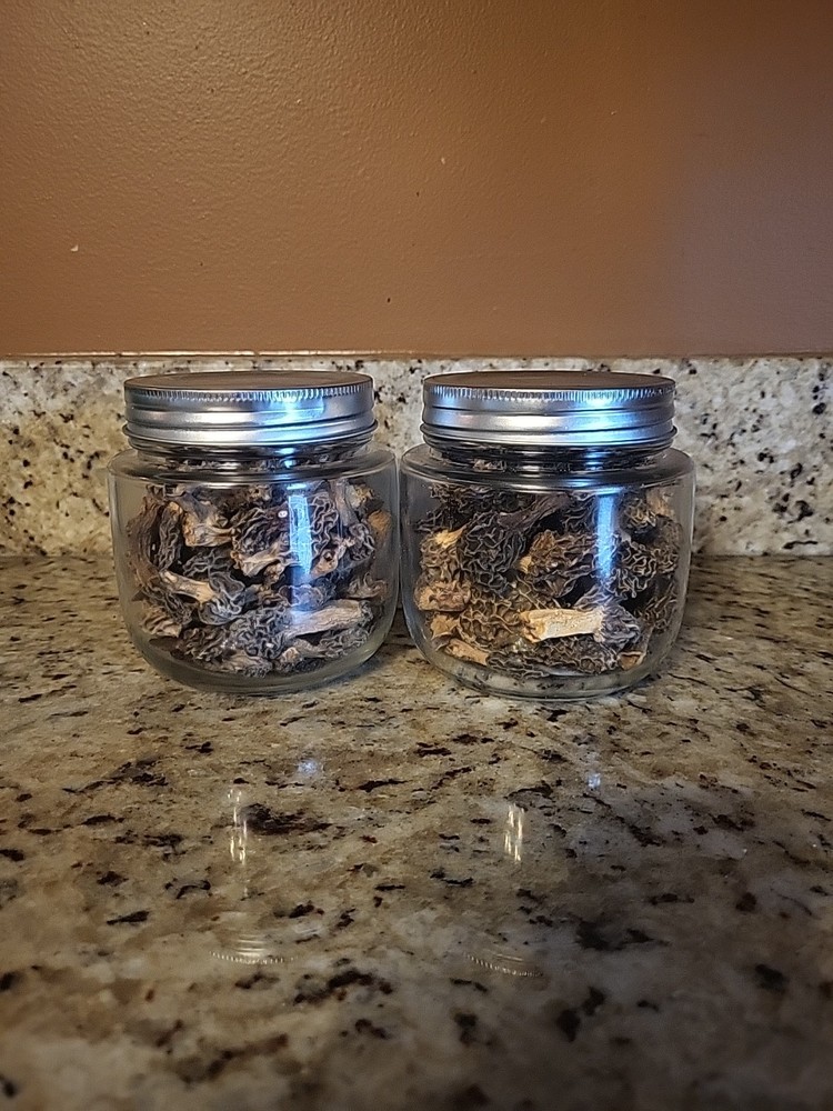 Dehydrated Illinois Morel Mushrooms