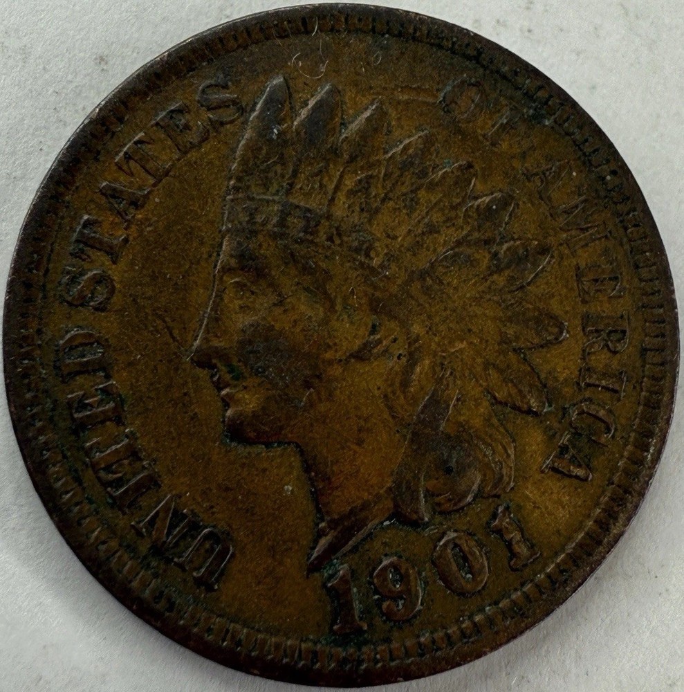 1901 Indian Head Cent Exact Coin Imaged #IND1213