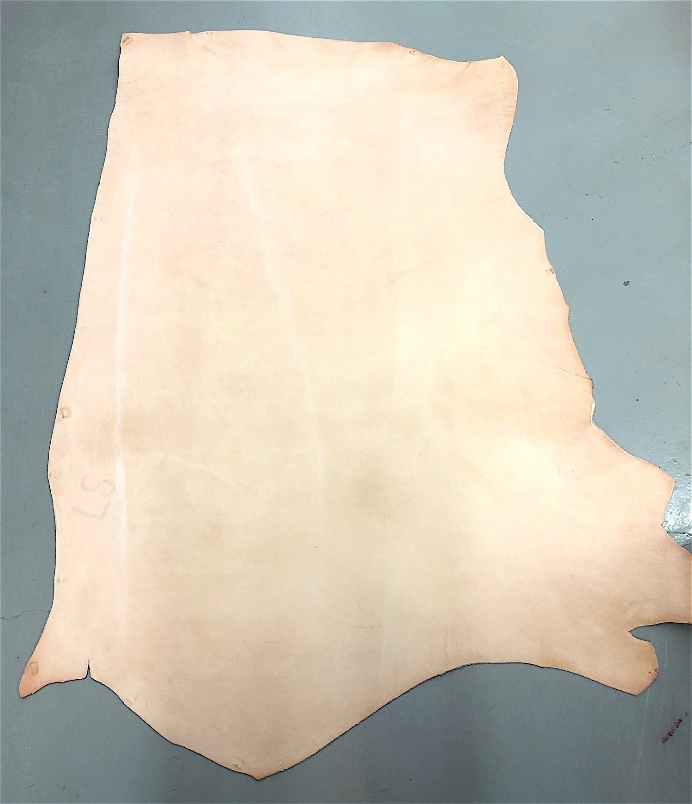 8/9oz cowhide Leather Veg Tan Natural Tooling belt 13 to 15sq/ft STRAP