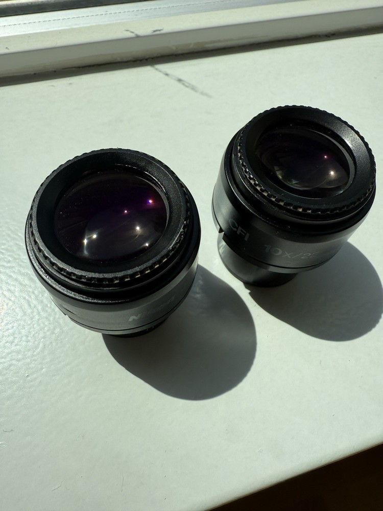 Pair Nikon Eclipse 80i 90i Microscope Eyepiece Occulars CFI 10x/22