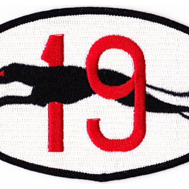 DESRON 19 Destroyer Squadron Patch Greyhound
