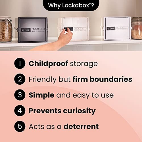 Lockabox Mini Small Lock Box w/ Combination Lock (Half Letter Sized)