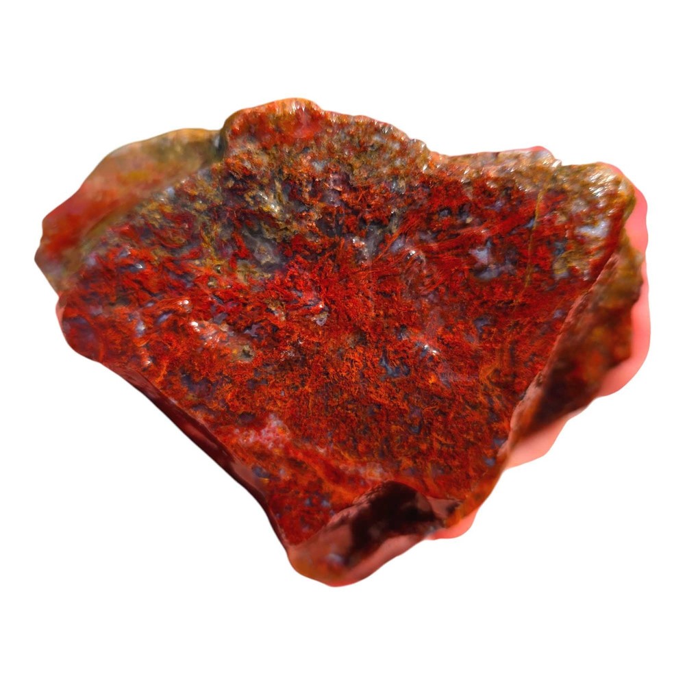 Random Pull San Carlos Agate Lapidary Rough Uncut Chunks
