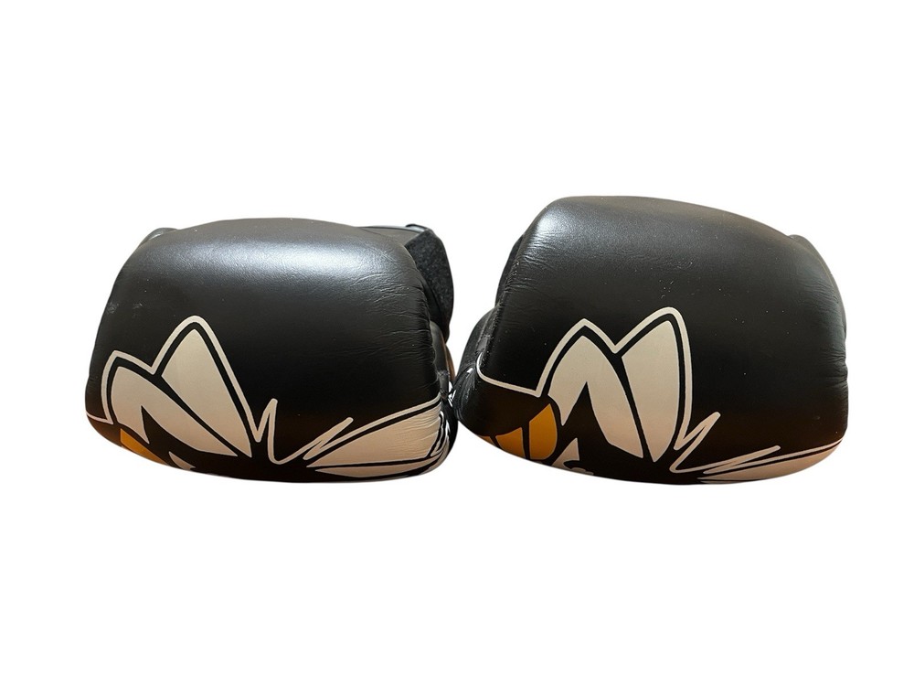 American Killer Bees Muy Thai Gloves