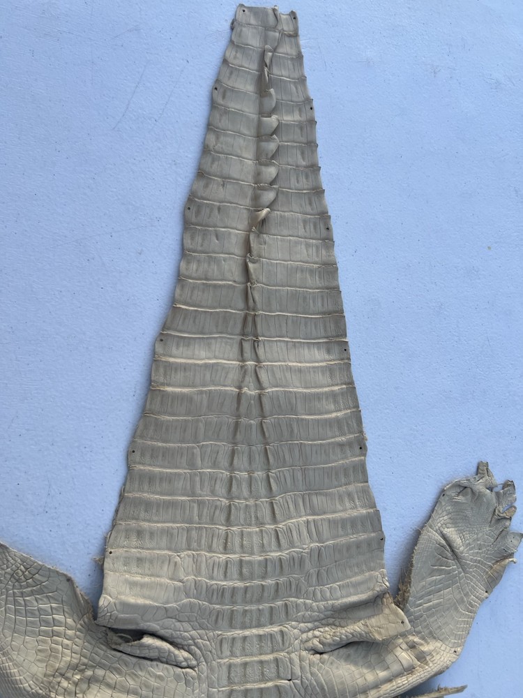 Genuine Crocodile Leather ( Bone Color )